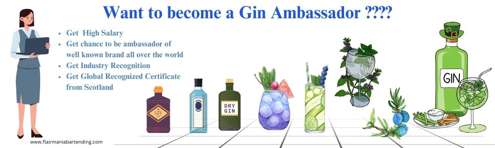 Flair Mania Gin Ambassador Course In Pune