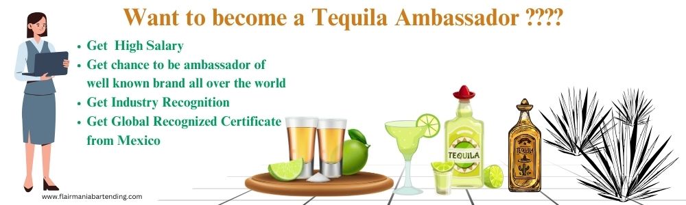 Flair Mania Tequila Ambassador Course In Pune
